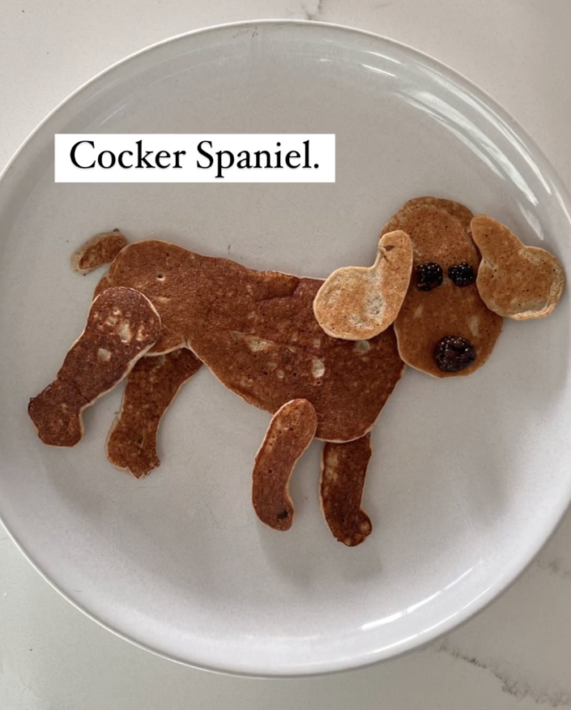 Crêpe Cocker Spaniel