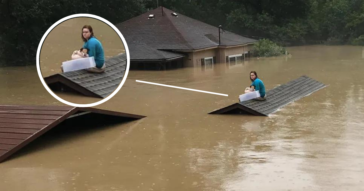 Une héroïne adolescente risque sa vie pour sauver son chien d'une mort certaine lors d'une crue éclair