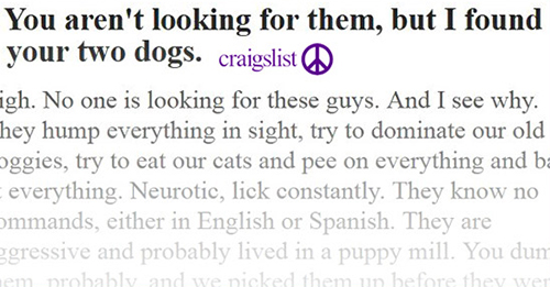 Un sauveteur fatigué écrit une lettre ouverte à la personne qui a abandonné 2 chiens
