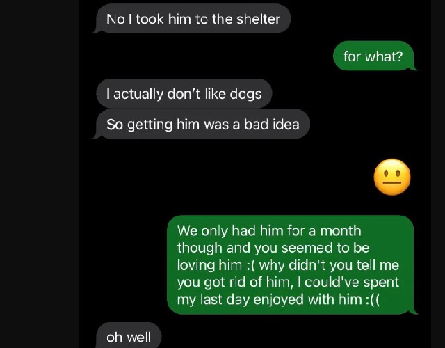 Une maman ramène son chien de sauvetage à l'abri sans le dire à son fils, provoquant l'indignation d'Internet
