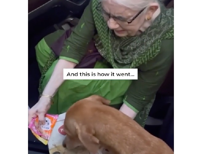 Une grand-mère de 90 ans se réveille très tôt tous les jours pour cuisiner pour 120 chiens errants
