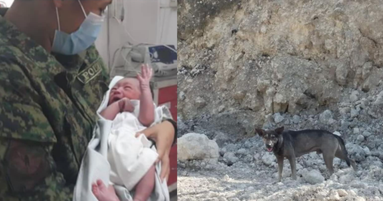 Un chien qui aboie héroïque conduit un motard à passer à un nouveau-né abandonné

