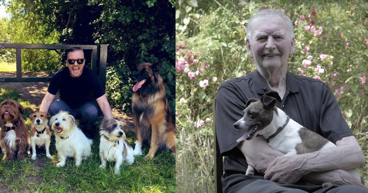 Ricky Gervais se bat pour sauver le terrier de 85 ans de l'euthanasie