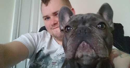  "Ensemble pour toujours."  Frenchie bien-aimé décède de façon inattendue 15 minutes après que son père chien ait perdu la bataille contre le cancer
