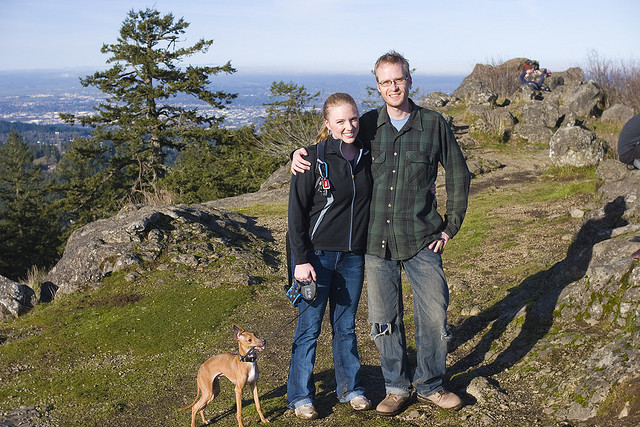 Races de chiens collants lévriers italiens