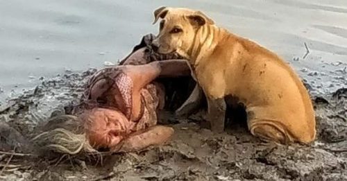 Des errants trouvés gardant une femme âgée aveugle endormie au bord d'une rivière
