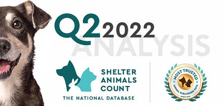 Adopt-a-Pet.com Blog Quoi de neuf sur Adopt-a-Pet.com en août 2022