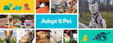 Adopt-a-Pet.com Blog Quoi de neuf sur Adopt-a-Pet.com en juillet 2022