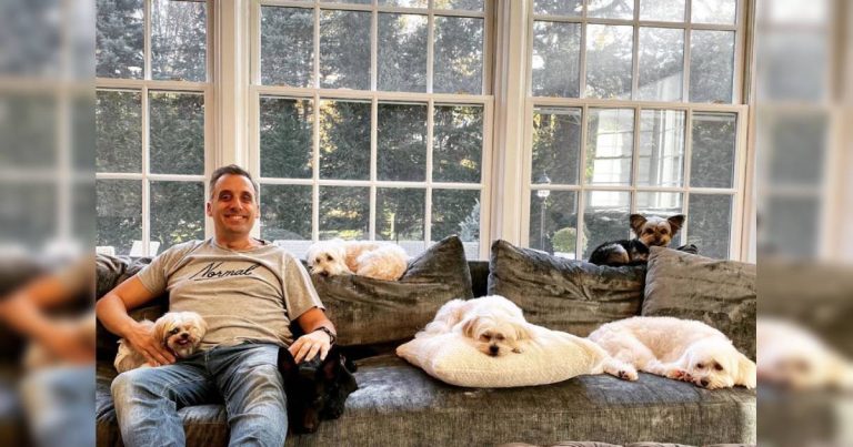 'Impractical Jokers' Joe Gatto écrit un livre sur ses 8 chiens, sans blague
