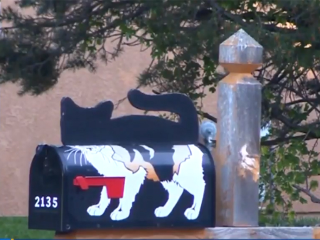 La voisine de “Cat Lady” filmée