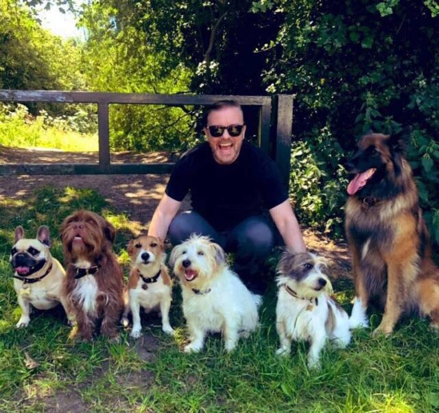Ricky Gervais avec des chiens