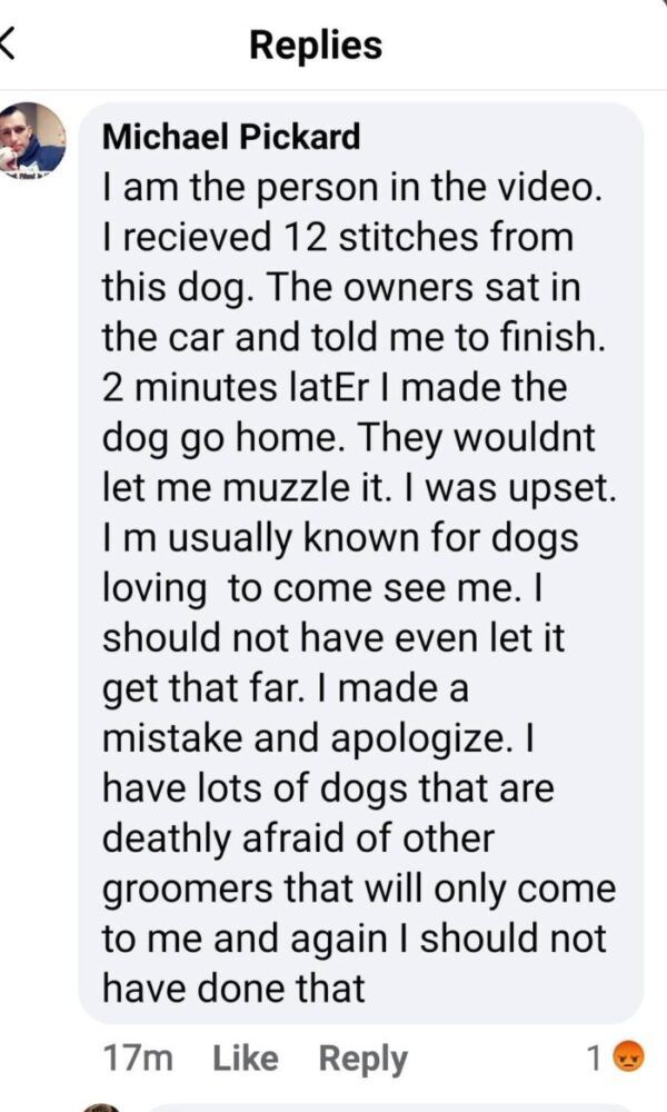 Michael Pickard Explication