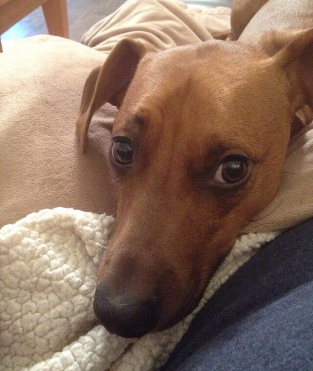 Visage de Bennie en gros plan